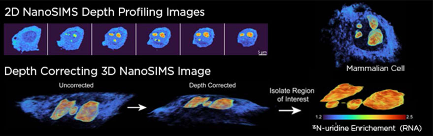 webinar intracellular distributions of biomolecules