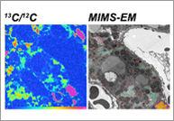 novo artigo publicado