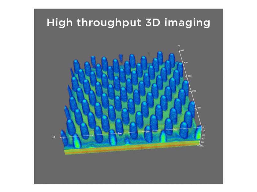 Nanowire NanoSIMS-HR